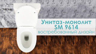 Моноблок 9614