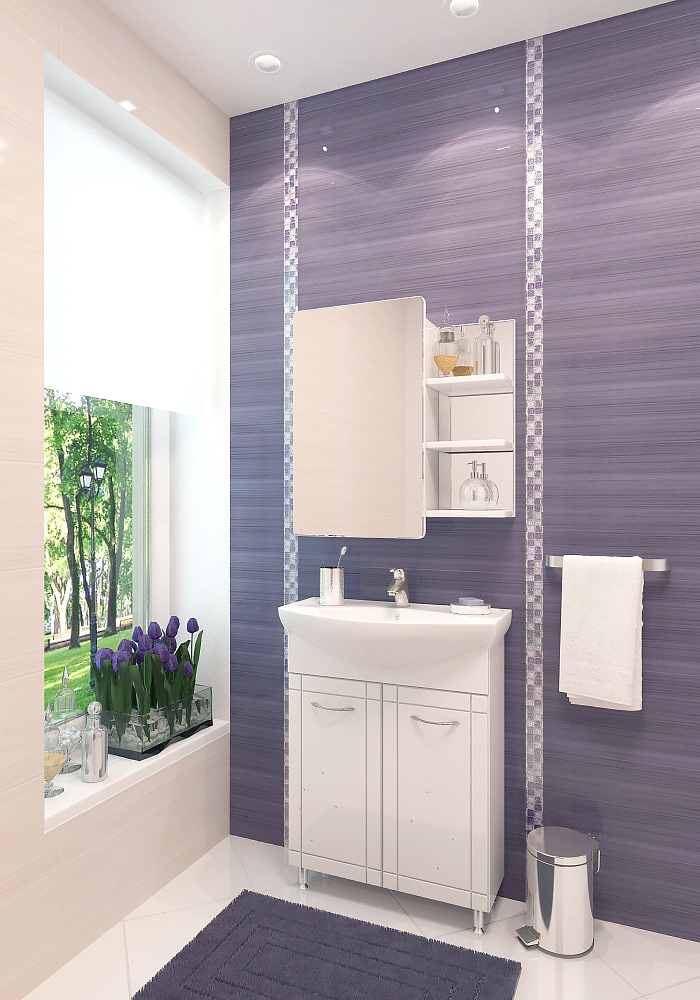 65 Зеркало-шкаф «Хай-тек 65»