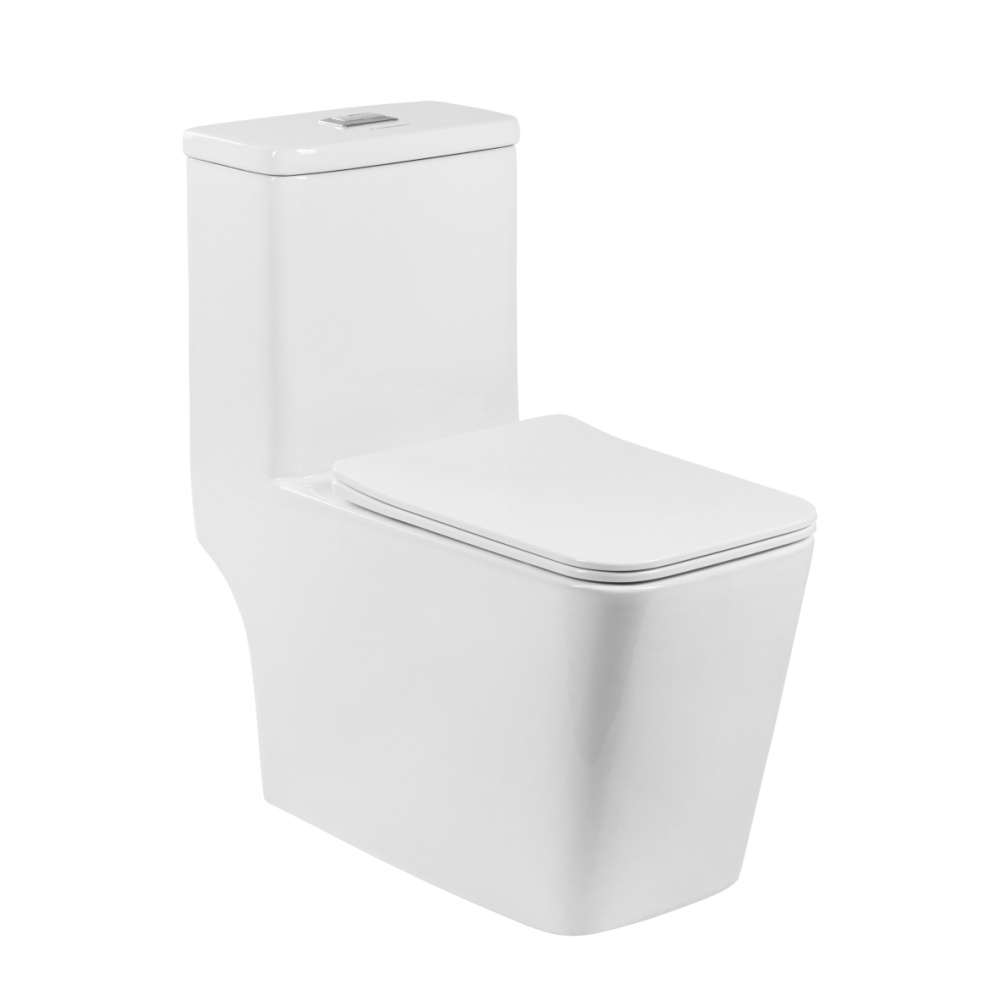 Унитаз-моноблок SM9616 безободковый, сиденье тонкое ДП, арматура (с гофрой и подводкой)