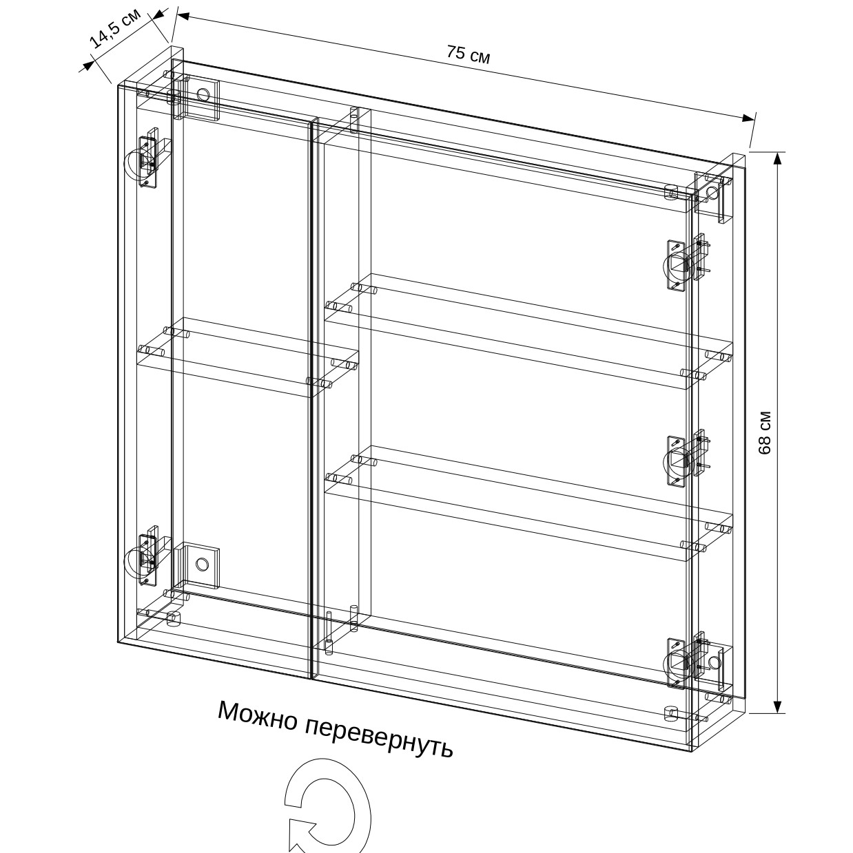 75 Зеркало-шкаф "НИКА-75"
