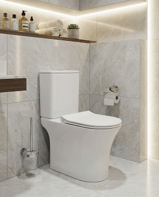 Унитаз-компакт EG313_Интерьер_1 1.png